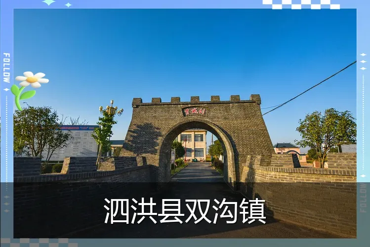 泗洪县双沟镇