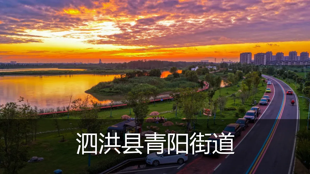 泗洪县青阳街道